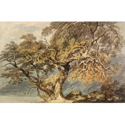 A Great Tree 1796 by Joseph Mallord William Turner -Art gallery oil painting reproductions