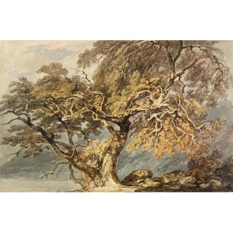 A Great Tree 1796 by Joseph Mallord William Turner -Art gallery...