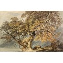 A Great Tree 1796 by Joseph Mallord William Turner -Art gallery...
