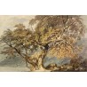 A Great Tree 1796 by Joseph Mallord William Turner -Art gallery...