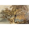 A Great Tree 1796 by Joseph Mallord William Turner -Art gallery oil painting reproductions
