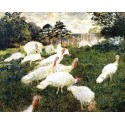 The Turkeys by Claude Oscar Monet - Art gallery oil painting...