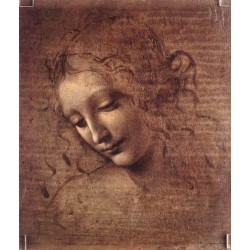 Female Head by Leonardo Da Vinci - Art gallery oil painting...