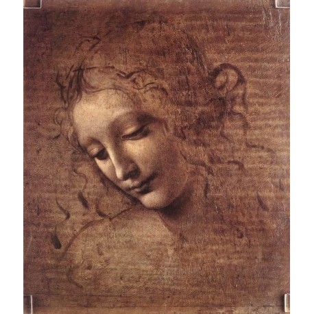Female Head by Leonardo Da Vinci - Art gallery oil painting reproductions