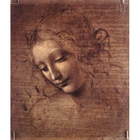 Female Head by Leonardo Da Vinci - Art gallery oil painting...