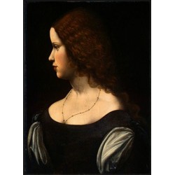 Portrait Of A Young Lady by Leonardo Da Vinci-Art gallery oil painting reproductions