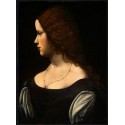 Portrait Of A Young Lady by Leonardo Da Vinci-Art gallery oil...