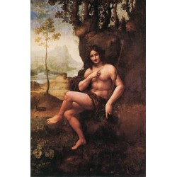 St John in the Wilderness by Leonardo Da Vinci-Art gallery oil...
