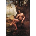 St John in the Wilderness by Leonardo Da Vinci-Art gallery oil...