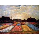 Bulb Fields by Vincent Van Gogh - Art gallery oil painting...