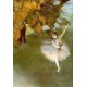 The Star I by Edgar Degas - Art gallery oil painting reproductions
