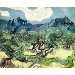 The Olive Trees by Vincent...