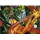 The Monkey by Franz Marc oil painting art gallery