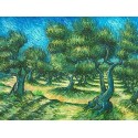 Champ d Olive 2-border by Vincent Van Gogh- Art gallery oil...