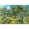 Champ d Olive by Vincent Van Gogh - Art gallery oil painting...
