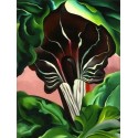 Abstract Ab10523 oil painting art gallery