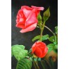 Floral 8980971 oil painting art gallery