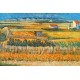Harvest Landscape by Vincent Van Gogh