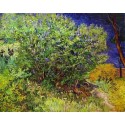 Lilac Bush by Vincent Van Gogh- Art gallery oil painting reproductions