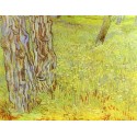Park Conor with a Blooming Lawn by Vincent Van Gogh - Art gallery...