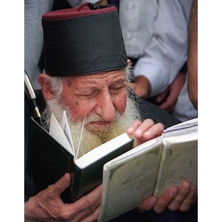 Rav Kaduri Praying | Jewish Art Oil Painting Gallery