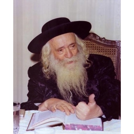 Klausenberger Rebbe | Jewish Art Oil Painting Gallery