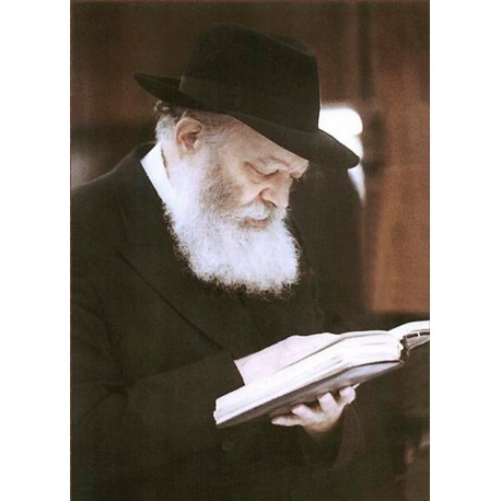 Lebavitcher Rebbe | Jewish Art Oil Painting Gallery