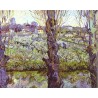 View of Arles by Vincent Van Gogh -Art gallery oil painting...