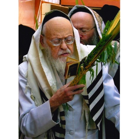 Rabbi Miller | Jewish Art Oil Painting Gallery