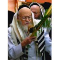 Rabbi Miller | Jewish Art Oil Painting Gallery