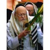 Rabbi Miller | Jewish Art Oil Painting Gallery