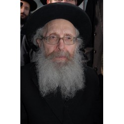 Rabbi Finkel 4  | Jewish Art Oil Painting Gallery