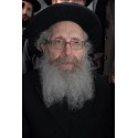Rabbi Finkel 4  | Jewish Art Oil Painting Gallery