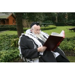 Rabbi Scheinberg | Jewish Art Oil Painting Gallery