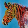 Zebra Posters by Andy Warhol oil painting art gallery