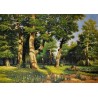 Oak Wood by Ivan Ivanovich Shishkin - oil painting art gallery