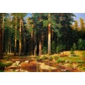 The Mast Tree Grove by Ivan Ivanovich Shishkin - oil painting art...