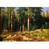 The Mast Tree Grove by Ivan Ivanovich Shishkin - oil painting art gallery
