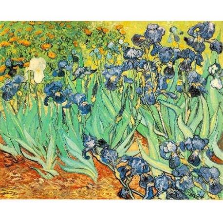 Irises by Vincent Van Gogh