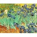 Irises by Vincent Van Gogh - Art gallery oil painting reproductions