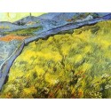 Wheat Field by Vincent Van Gogh - Art gallery oil painting...