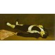 The Dead Toreador 1864 By Edouard Manet - Art gallery oil painting reproductions