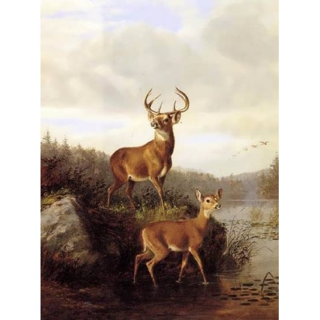 Buck and Doe by Arthur F. Tait – Hand‑Painted Reproduction