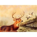Buck in a Marsh by Arthur F. Tait – Hand‑Painted Reproduction
