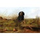 Cocker Spaniel and Woodcock By Arthur Fitzwilliam Tait - Art gallery oil painting reproductions