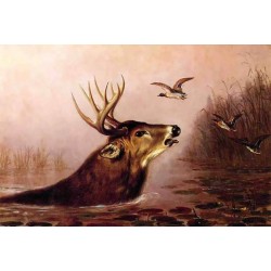 Deer in Marsh by A.F. Tait – Hand-Painted Reproduction