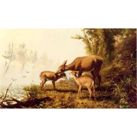 Deer in the Woods By Arthur Fitzwilliam Tait - Art gallery oil painting reproductions