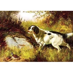Dog and Quail by Arthur F. Tait – Hand‑Painted Reproduction
