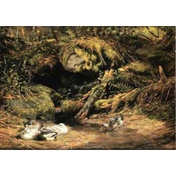 Ducks at the Spring Head By Arthur Fitzwilliam Tait - Art gallery...