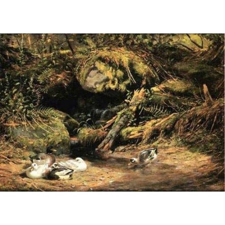 Ducks at the Spring Head By Arthur Fitzwilliam Tait - Art gallery...